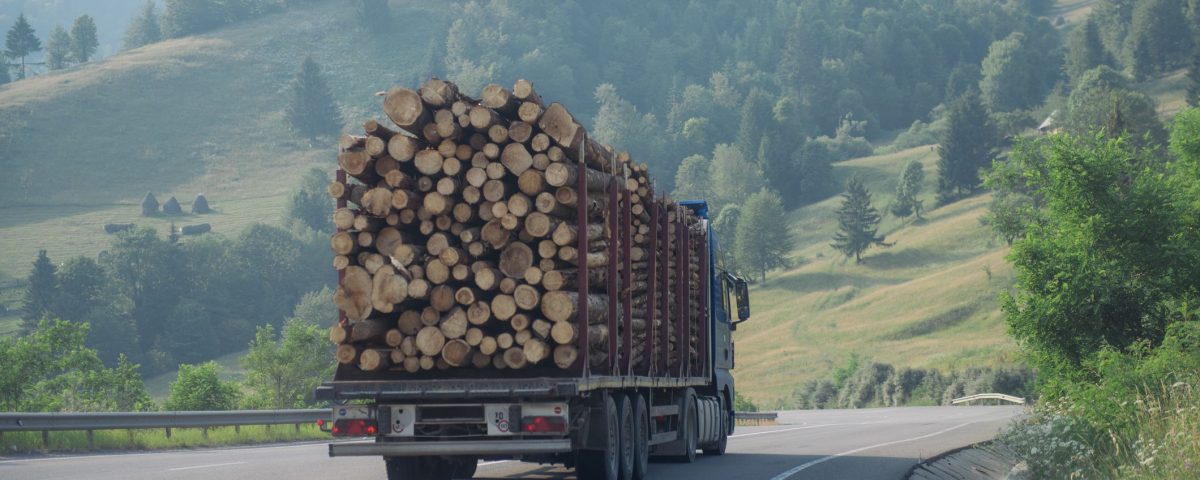 regras para transporte de madeira