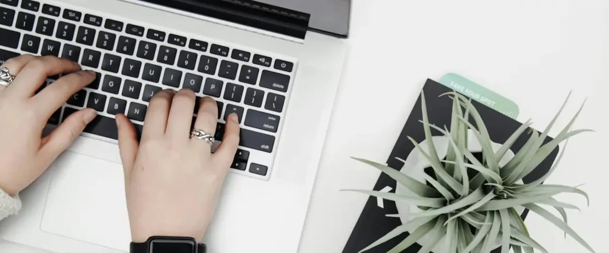 Emissor de CTe e MDFe: pessoa digitando em um notebook com uma plantinha do lado.