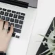 Emissor de CTe e MDFe: pessoa digitando em um notebook com uma plantinha do lado.