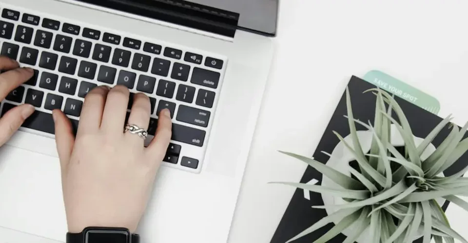 Emissor de CTe e MDFe: pessoa digitando em um notebook com uma plantinha do lado.