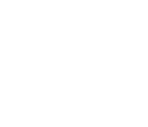Logo NF-e Prático